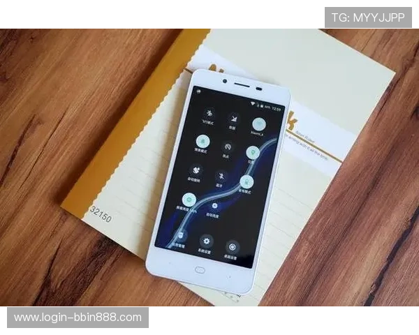 bbin手机客户端官网多平台兼容性分析，确保您在手机端也能享受流畅的游戏体验